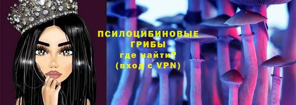 винт Новокубанск