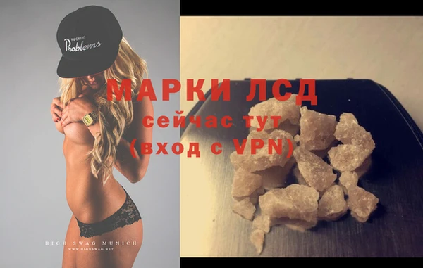 альфа пвп Новодвинск