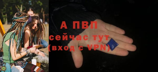 шишки Тавда