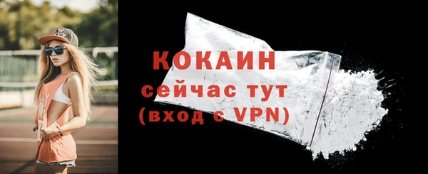альфа пвп Новодвинск