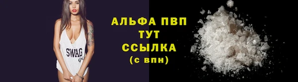 шишки Тавда