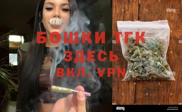 шишки Тавда