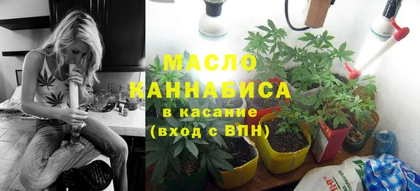 шишки Тавда