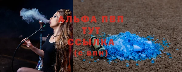 шишки Тавда