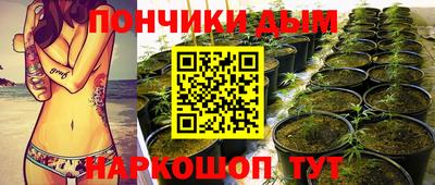 индика Аргун