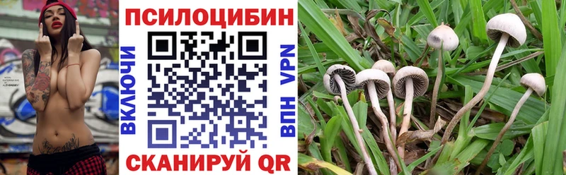 Галлюциногенные грибы Magic Shrooms  ОМГ ОМГ   Белогорск  где найти  