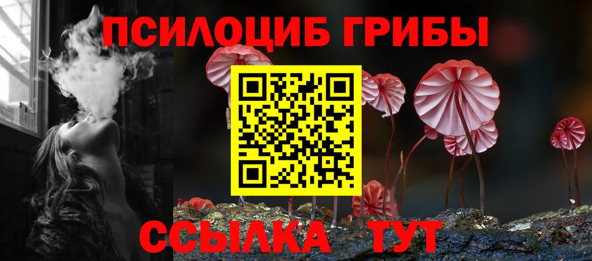 Галлюциногенные грибы Psilocybe Белогорск