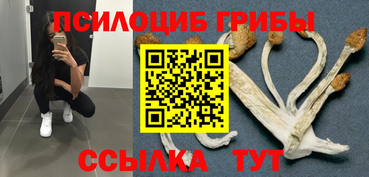 Псилоцибиновые грибы Psilocybe Белогорск